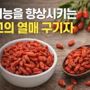 신체의 열매 | 성기능을 향상 시키는 최고의 열매 구기자