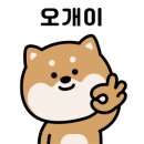올포독 이미지