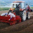 용진축산 이미지