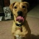 알리와 윌리 이미지