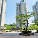 데시앙우리공인중개사사무소 이미지