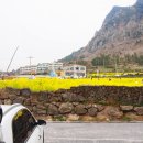 바다스케치 이미지