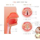 성대어린이집 이미지