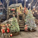 플라스틱가드너 | 서울 근교 드라이브 의왕 브런치카페 트리카페 더가드너