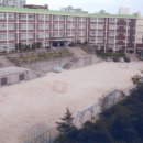 절영초등학교 Daum카페