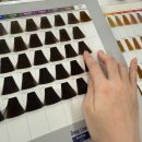 910헤어 | W_11. 헤어변형_ 클로드스튜디오 연둣빛살롱 / 디스탠다드 남자 헤어변형 후기_(헤어변형시안 예시 / 공유)