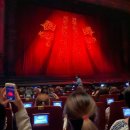 종로-신교-종로-신-294 | 131달 전 일을 내가 어 떻 게 기억하냐고 [뮤지컬 2013~2025]