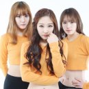 베티풀