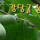 이일주농장 이미지