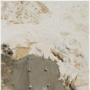 대자초교 이미지