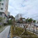 약사초등학교병설유치원 이미지