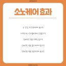 소노케어 이미지