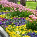 (주)신안전설 이미지