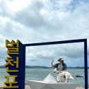 덕수네 애견 | 서해의 에메랄드빛 해수욕장..? 몽돌해변 벌천포해수욕장 애견동반 솔직후기