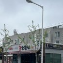 소군지 | 포항효자맛집 단독룸 소군지 재방문 (아기의자 有)