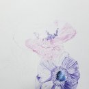 아름다운 꽃 그림 보타니컬아트 이미지