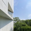 롯데아울렛발렌시아광 | 만한 곳] 초록빛 가득한 미메시스 아트 뮤지엄 재방문 후기 (feat. 롯데아울렛 VIP 꿀팁, 주차, 포토스팟)