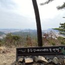 치유의 숲 야영장 이미지