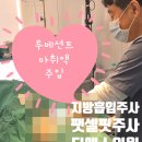 울산비비성형외과의원 | 울산 이중턱살 팻셀·실리프팅 후기40대 여성, 나이 들며 생긴 이중턱… 20대 얼굴형 회복