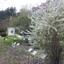 평은초등학교 이미지