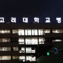 게스트하우스고대원룸텔