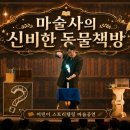 독서마술공연 마술책방 | 도서관 추천 공연 책과 마술이 함께하는 스토리텔링 공연 "마술사의 신비한 동물책방"