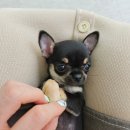 동두천-045 이미지