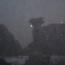 지에스25 부평갈산 이미지