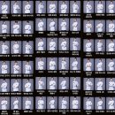 한국케이블티브이푸른방송(주) | 천하제빵 참가자 나수지 황지오 빵집 예약마감 OTT 방송시간