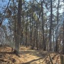 왕배푸른숲도서관 1층 | [동탄 아기랑 가볼만한곳] 9개월 아기랑 왕배산 등산 (주차부터 완벽코스추천)