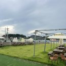 오산 화성 애견동반 카페, 애견 유치원 &#39;On Dog&#39; 온독 방문 후기