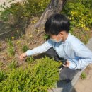 광숭초등학교 이미지