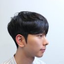 퍼피스타일 이미지