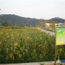 용지호스텔 이미지