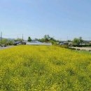 섬진강공인중개사사무소 이미지