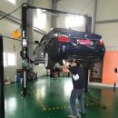 정글팩토리 이미지