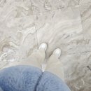 성균관약국 | 성대생의 취준 일기 5: 공공기관 인턴 면접 및 합격 후기 with 일상