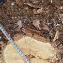 은평-004 이미지