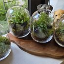 생활속 탄소 중립-제로웨이스트 이미지