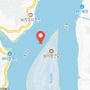 반려동물과함께하는#설렘 이미지