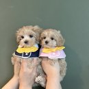 연제구-045 이미지