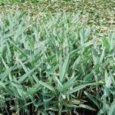 목재문화체험장 이미지