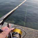 53 | Daiwa 12토너먼트F ISO 1-53 사용후기