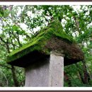 UR(충주시)-[소태로]-상-4 | 청룡사지