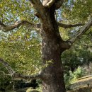 자유공원(장애인화장실) 이미지