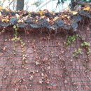 바람의말 이미지