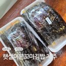 햇살머믄 꼬마김밥옥계점 | 제주 외도김밥맛집 햇살머믄꼬마김밥 제주본점 포장후기