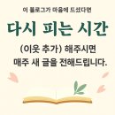 쉽게 배우는 영상편집 | 어르신도 쉽게 배우는 영상 편집 앱 기초 강좌