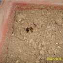 한서농장 이미지