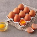 달걀이 건강에 좋은 이유 6가지 이미지